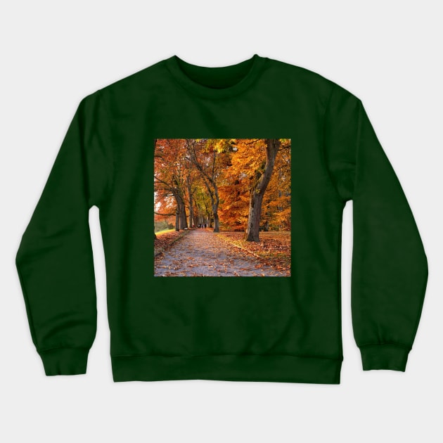 Autumn Crewneck Sweatshirt by Lionik09